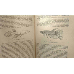 Traite complet de la vie des animaux en aquarium / Bibliothèque...