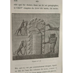La caricature égyptienne historique politique et morale -...