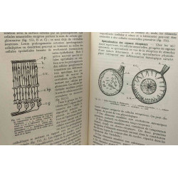 Biologie animale