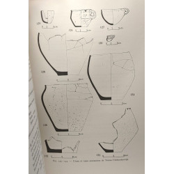Contributions à l'étude de la civilisation des champs d'urnes en...