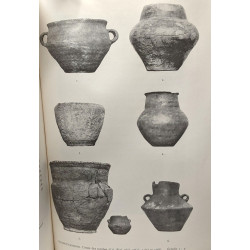 Contributions à l'étude de la civilisation des champs d'urnes en...