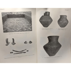 Contributions à l'étude de la civilisation des champs d'urnes en...