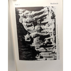 California Studies in Classical Antiquity: v. 6