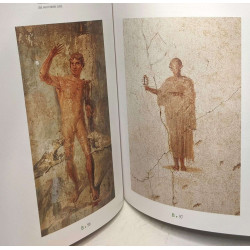 Pompei. Soprintendenza archeologica di Pompei. Ediz. illustrata...