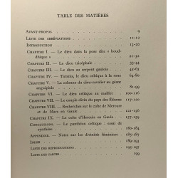 Contributions à l'étude des divinités celtiques - rijkuniversiteit...