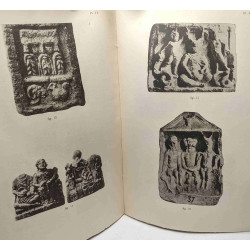 Contributions à l'étude des divinités celtiques - rijkuniversiteit...