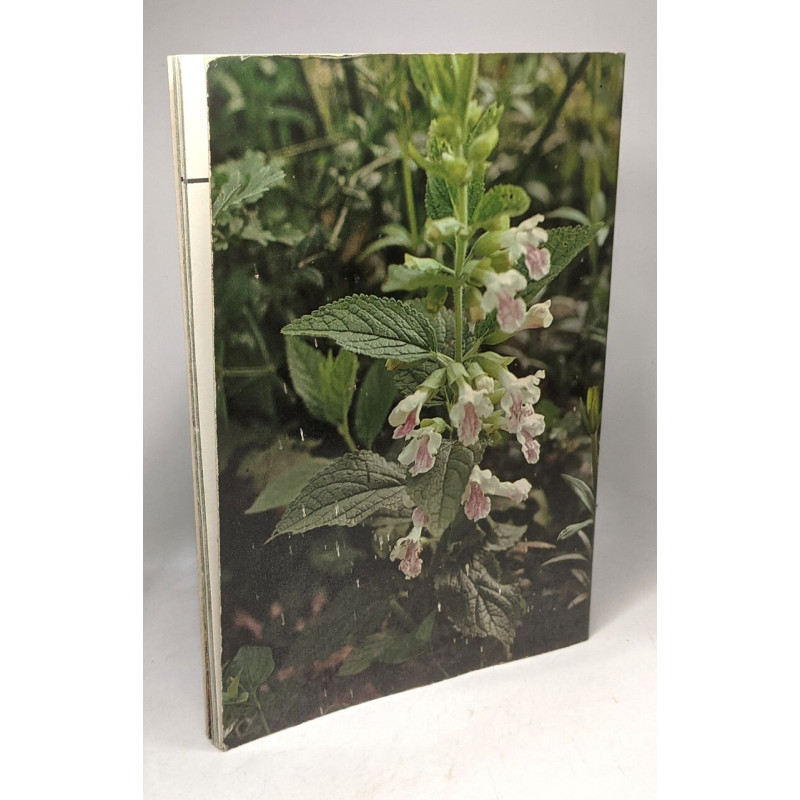 Les Fleurs des bois