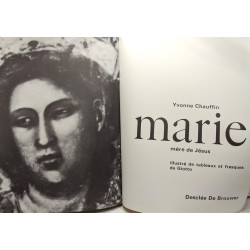 Marie mère de Jésus