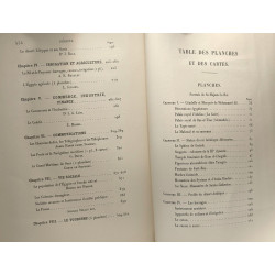 L'égypte - aperçu historique et géographique gouvernement et...