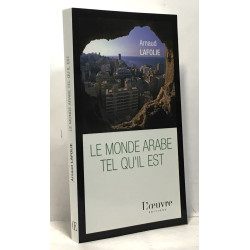 Le monde arabe tel qu'il est