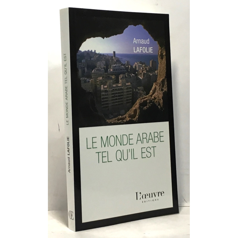 Le monde arabe tel qu'il est