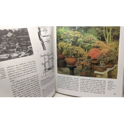 Ikebana et bonsaïs