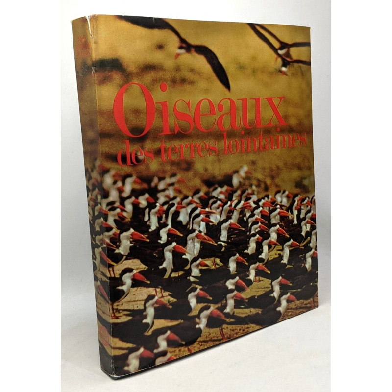 Oiseaux des terres lointaines