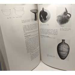 Dictionnaire illustré multilingue de la céramique du Proche-Orient...
