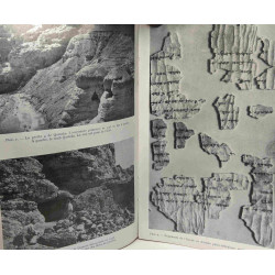 Dix ans de découvertes dans le désert de Juda - préface de R. de Vaux