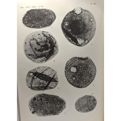 Mesozoic sporae dispersae from Zaïre - II. The Loia and Bokungu...