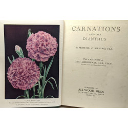 Carnations and all Dianthus