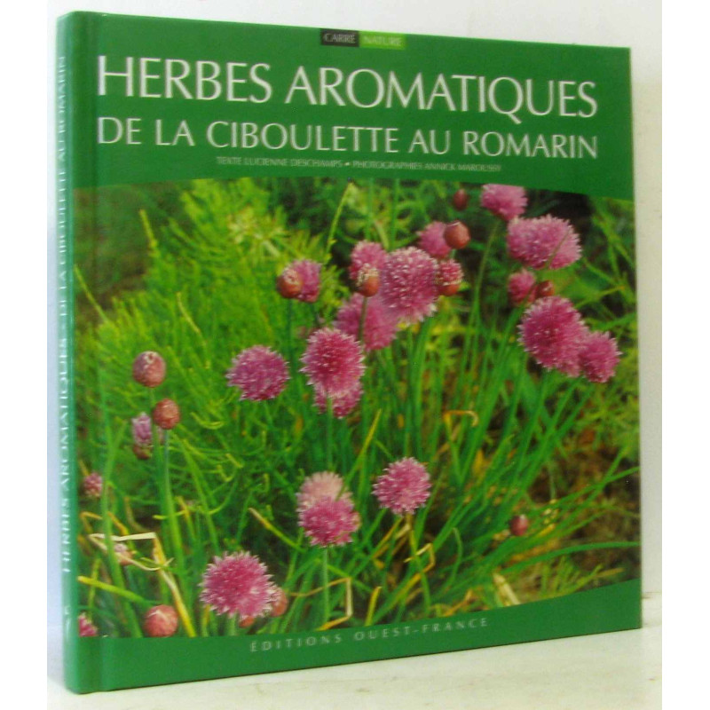 Herbes aromatiques : De la ciboulette au romarin
