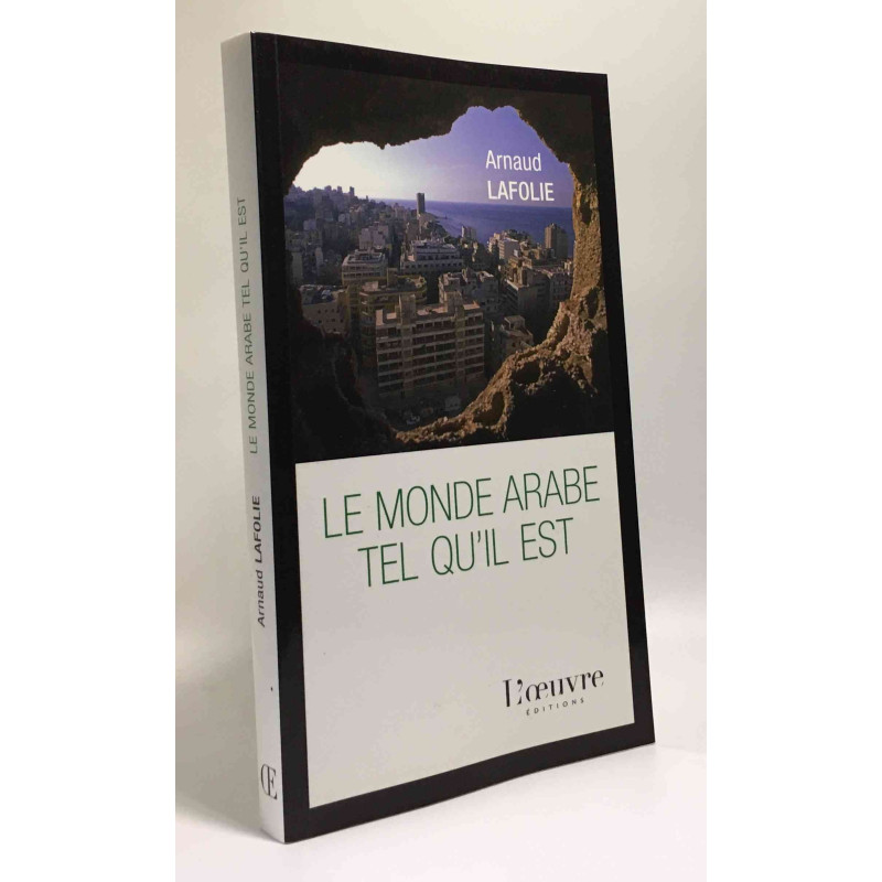 Le monde arabe tel qu'il est