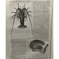 Dictionnaire général des sciences -théoriques et appliquées - Ire...