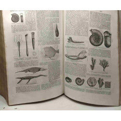 Dictionnaire général des sciences -théoriques et appliquées - Ire...