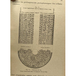 Anatomie et physiologie animales - classes de philosophie A B et...