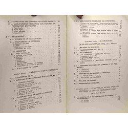 Notions de culture de l'Elaeis au Congo Belge - Royaume de...