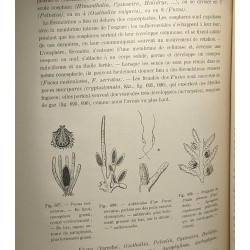 Cours de botanique - 3e édition - seconde partie botanique...