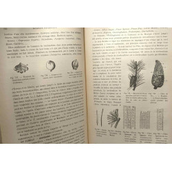 Cours de botanique - 3e édition - seconde partie botanique...
