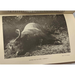 Les bêtes de chasse de l'Afrique française - bibliothèque géographique
