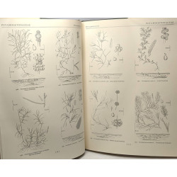 Flora of the British Isles - Part I: Pteridophyta to Papilionaceae...