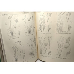 Flora of the British Isles - Part I: Pteridophyta to Papilionaceae...