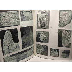 Le sanctuaire de Baalshamin à Palmyre - VOL. 1/ Topographie et...