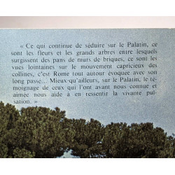 Au Palatin