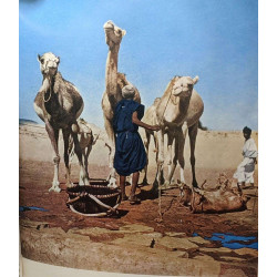 Le sahara avant le pétrole / connaissance de l'afrique