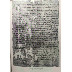 Collectanea Papyrologica texts published in honor of H.C. Youtie...