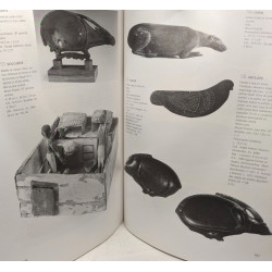 Des animaux et des Hommes - témoignages de la Préhistoire et de...