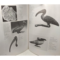 Des animaux et des Hommes - témoignages de la Préhistoire et de...