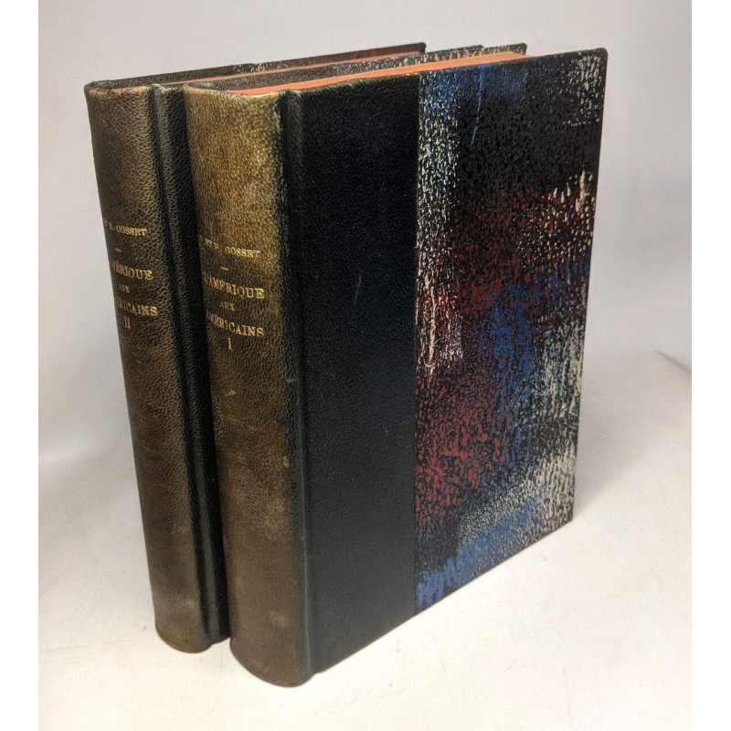 L'amérique aux américains (2 volumes). I Du mississipi au...