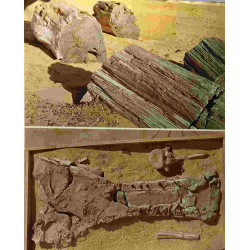 Sahara - monographie d'un grand désert
