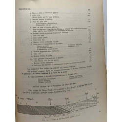 Étude géologique de l'Atlas Tunisien Oriental - annales des mines...