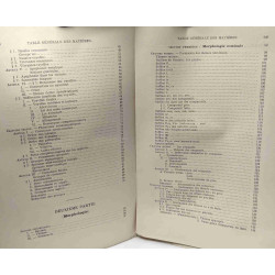 Le Grec et le Latin - notions élémentaires de grammaire comparée...