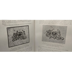 Le Ciel et l'Univers - Astronomie moderne --- 595 figures dans le...