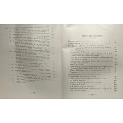 Les chants d'amour de l'Egypte ancienne - l'Orient ancien illustré N°9