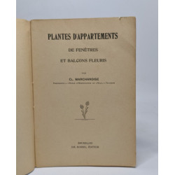 Plantes d'appartements de fenêtres et balcons fleuris