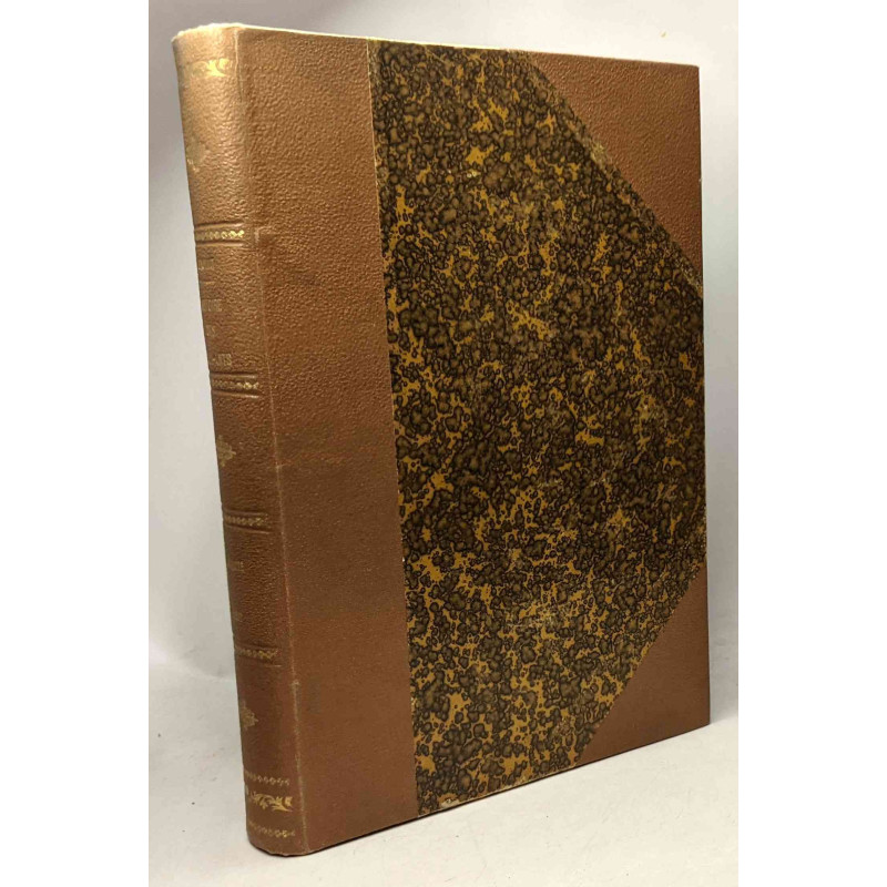 Histoire des beaux-arts - Antiquité - Orient - 211 gravures