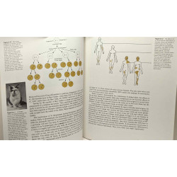 Genetics: A human perspective