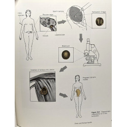 Genetics: A human perspective