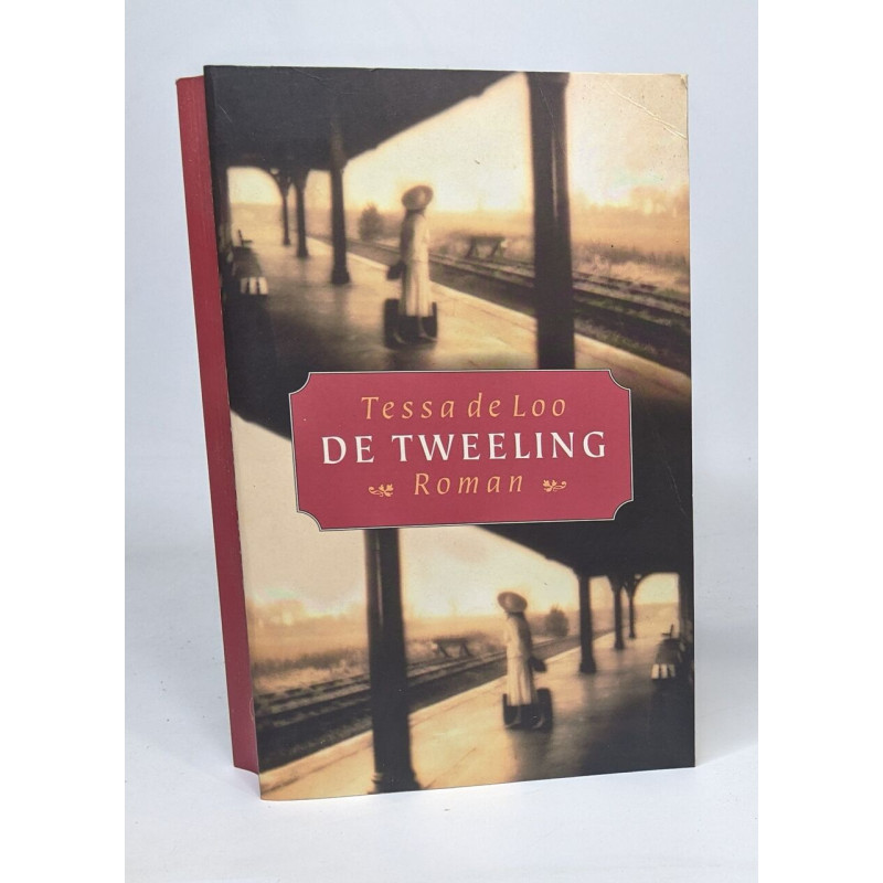 De tweeling: roman