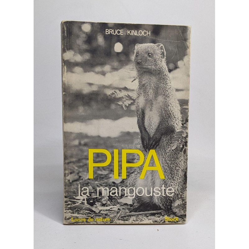 Pipa la mangouste